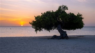 Aruba hava tahmini