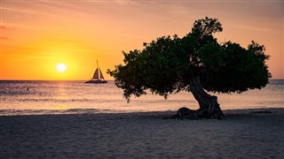 Aruba vejrudsigt