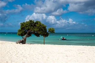 Aruba Hava tahmini