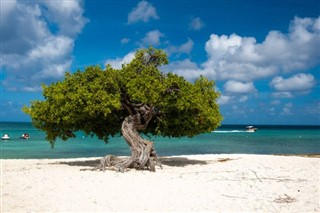 Aruba hava tahmini