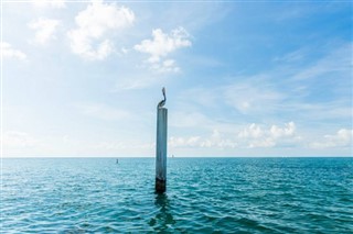 Aruba prévisions météorologiques