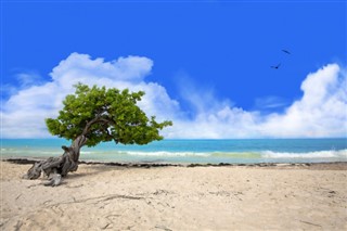 Aruba hava tahmini