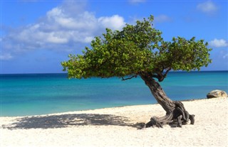Aruba hava tahmini