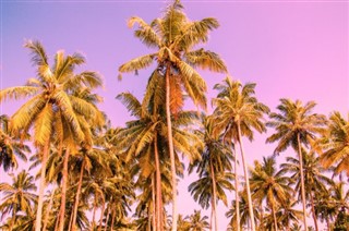 Aruba hava tahmini