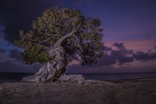 Aruba prévisions météorologiques