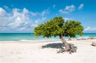 Aruba hava tahmini