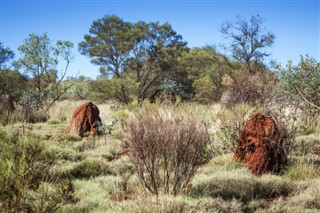 Australie prévisions météorologiques