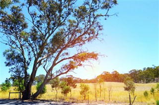Australien vejrudsigt