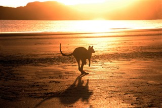 Australia pronóstico del tiempo