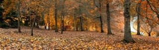 Avustralya hava tahmini
