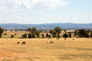 Australie prévisions météorologiques