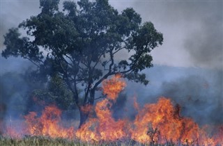Australia pronóstico del tiempo