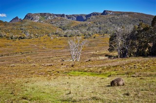 Australien vejrudsigt