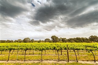 Australie prévisions météorologiques