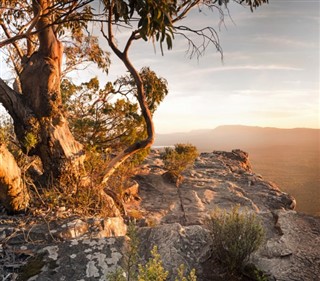 Australie prévisions météorologiques
