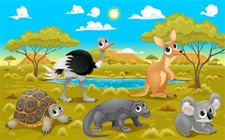 Australien vejrudsigt