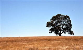 Australien vejrudsigt