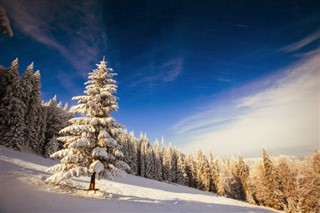 Avusturya hava tahmini