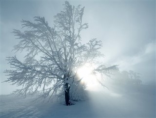 Avusturya hava tahmini