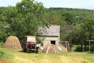 Avusturya hava tahmini