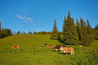 Ausztria időjárás-jelentés