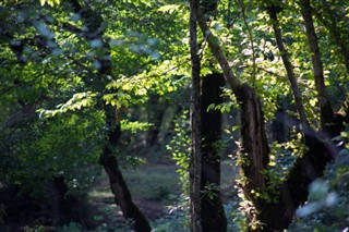 Azerbajdzsán Időjárás-jelentés