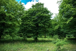 Azerbeycan hava tahmini
