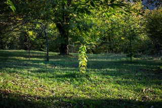 Azerbajdzsán időjárás-jelentés