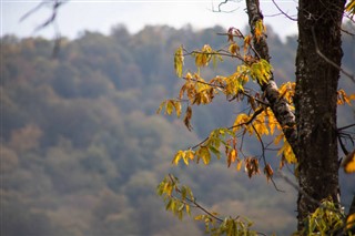 Azerbeycan hava tahmini