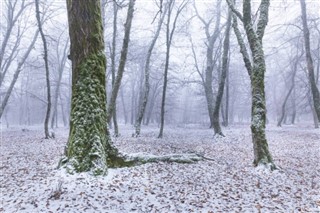 Azerbeycan hava tahmini