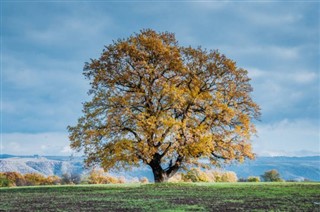 Azerbeycan hava tahmini