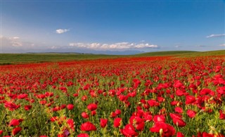 Azerbeycan hava tahmini