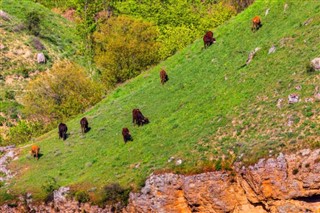 Azerbeycan hava tahmini