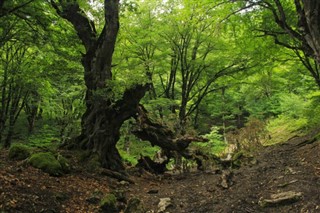 Azerbajdzsán időjárás-jelentés