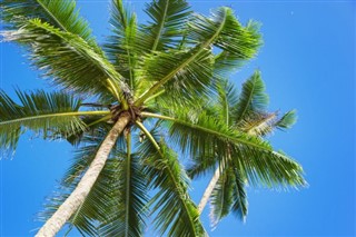 Bahamas vejrudsigt
