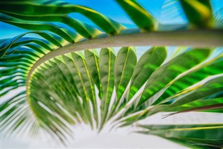 Bahamas weather forecast