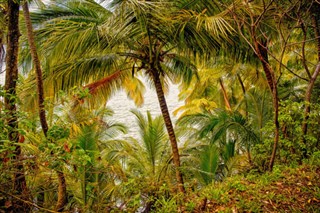 Bahamas prévisions météorologiques