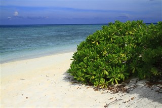 Bahamas pronóstico del tiempo