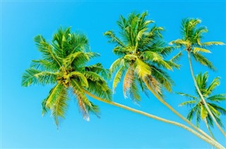 Bahamas vejrudsigt