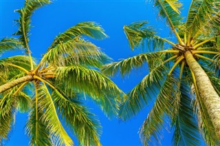 Bahamalar hava tahmini