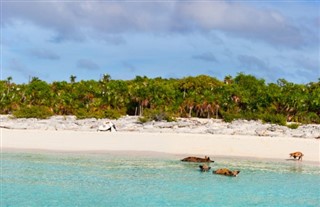 Bahamas prévisions météorologiques