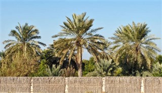 Bahrain vejrudsigt