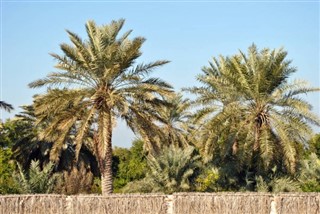 Bahrain vejrudsigt