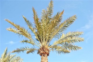 Bahreïn prévisions météorologiques