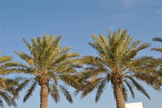 Bahrein időjárás-jelentés