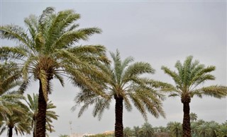 Bahrein időjárás-jelentés