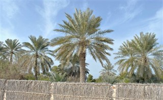 Bahreïn prévisions météorologiques