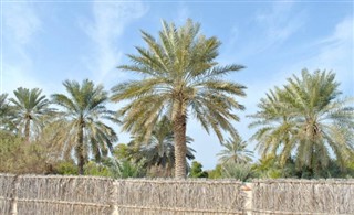 Bahrain vejrudsigt