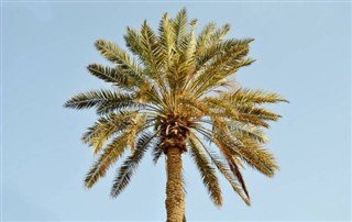 Bahreyn hava tahmini