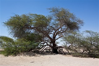 Bahrain vejrudsigt